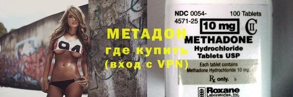 индика Алексин