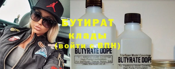 индика Алексин