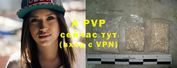 индика Алексин