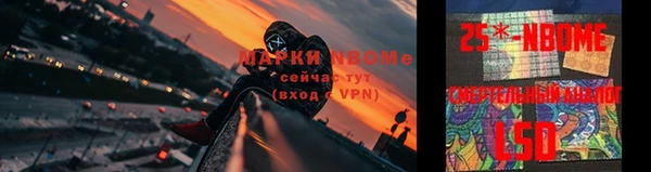 ПСИЛОЦИБИНОВЫЕ ГРИБЫ Алексеевка