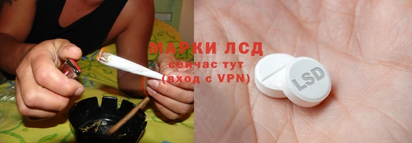 индика Алексин