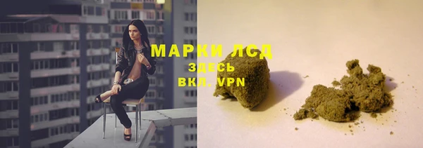 индика Алексин