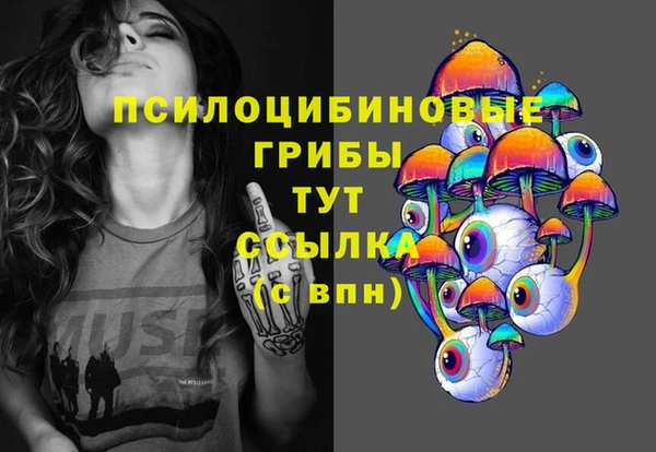 индика Алексин