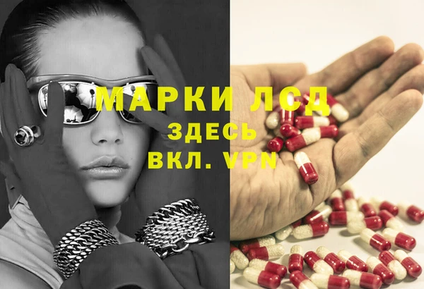 индика Алексин