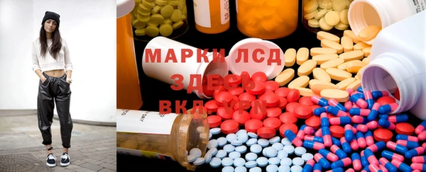 индика Алексин